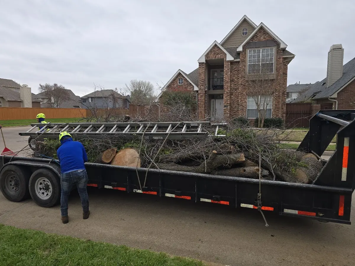 Expert Tree Fertilization with proper safety equipment in Sharpsburg